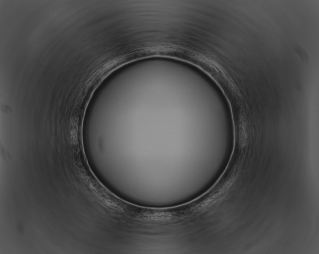 X0000090500833200708031207