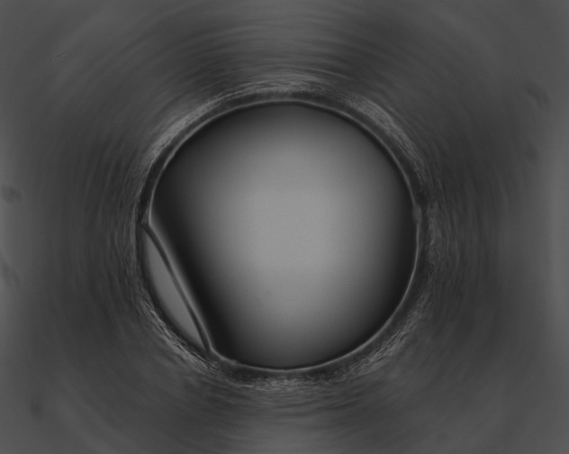 X0000090500834200708031207