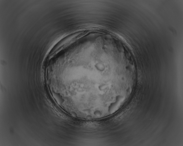 X0000090500835200708031207