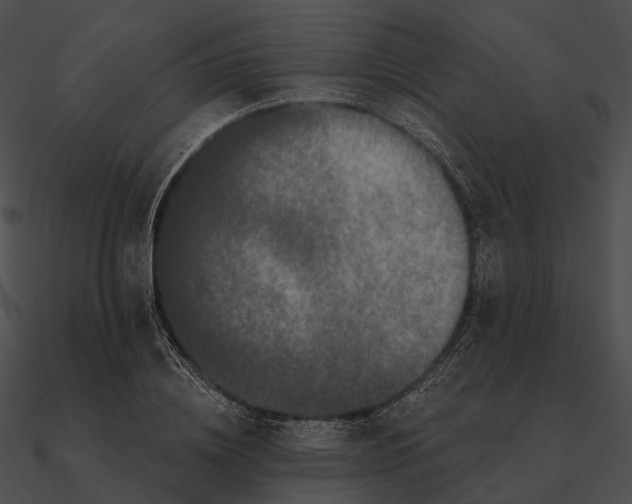 X0000090500836200708031207