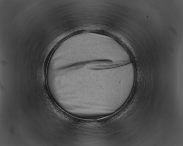 X0000090500837200708031207