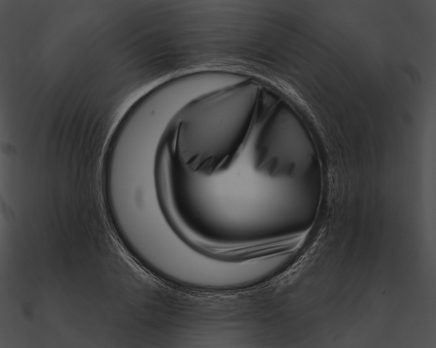 X0000090500838200708031207