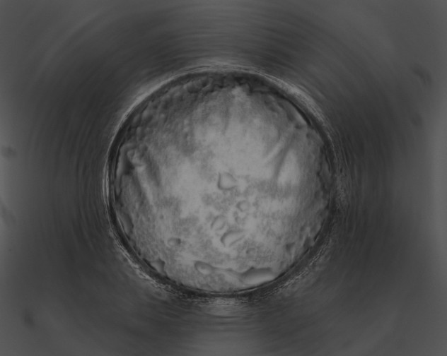 X0000090500839200708031207