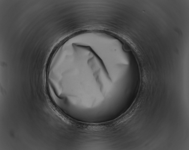 X0000090500840200708031207