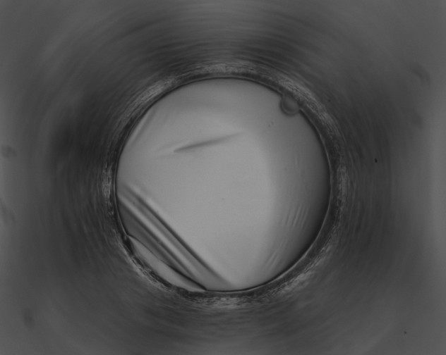 X0000090500841200708031207