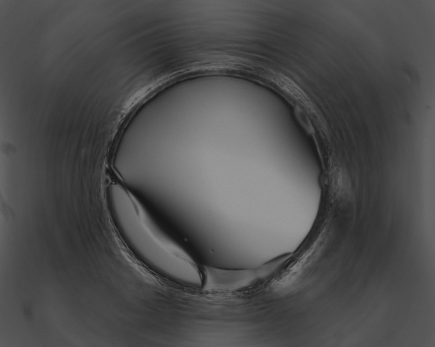 X0000090500842200708031207