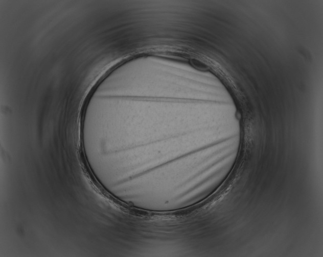 X0000090500844200708031207