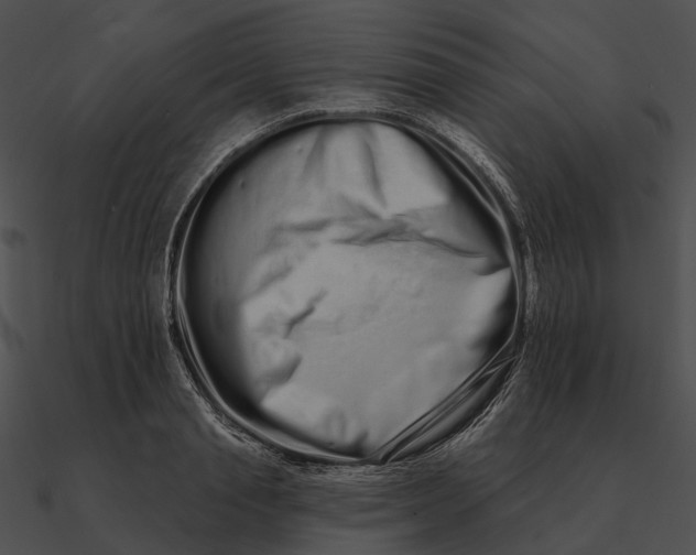 X0000090500845200708031207