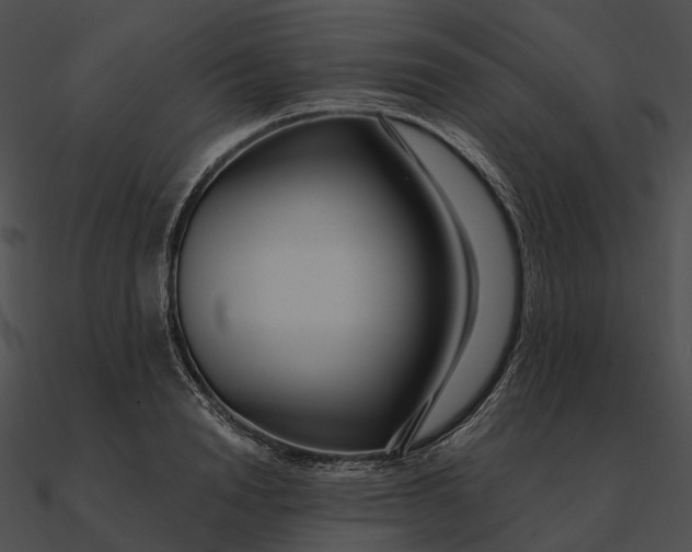 X0000090500846200708031207