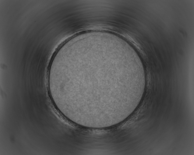 X0000090500848200708031207