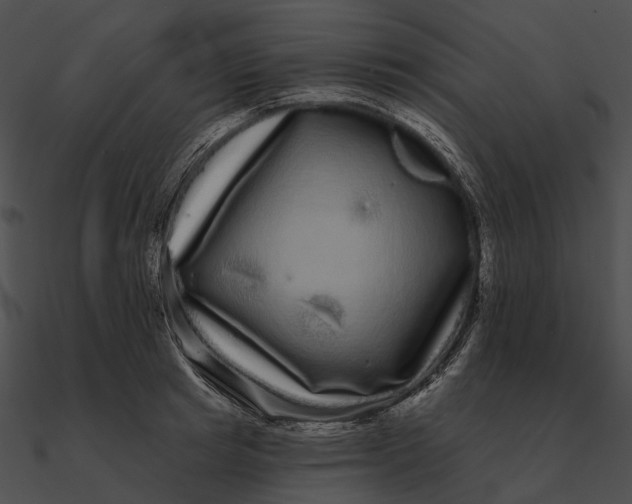 X0000090500849200708031207