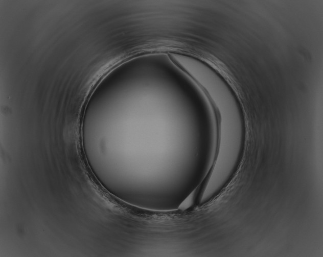 X0000090500850200708031207