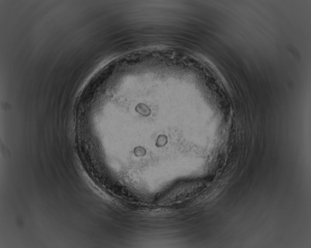 X0000090500851200708031208