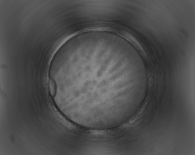 X0000090500852200708031208