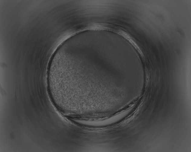 X0000090500853200708031208