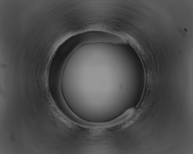 X0000090500854200708031208