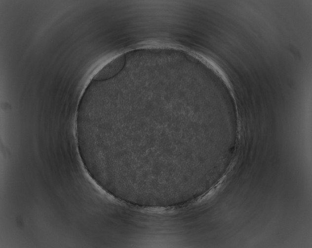 X0000090500855200708031208