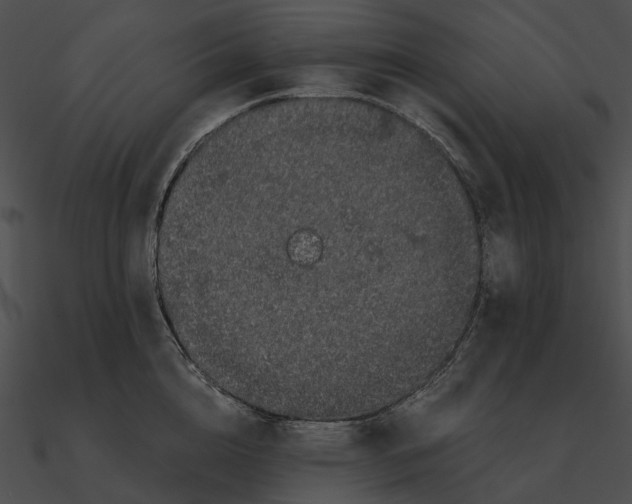 X0000090500856200708031208