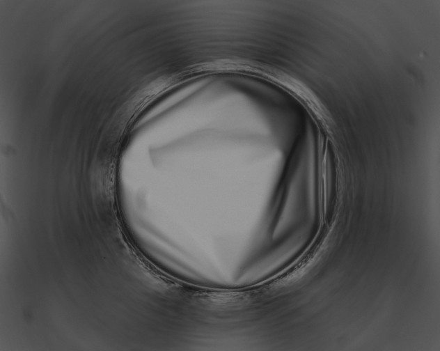 X0000090500857200708031208