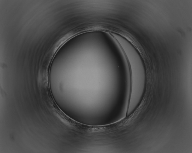 X0000090500858200708031208