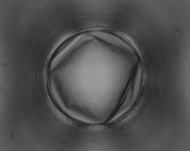 X0000090500859200708031208