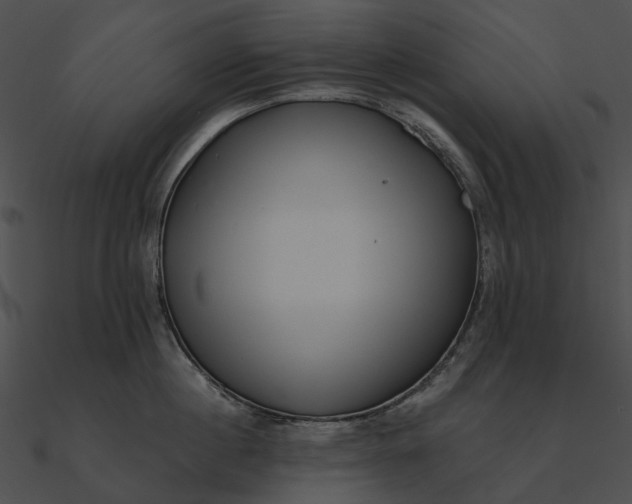 X0000090500860200708031208