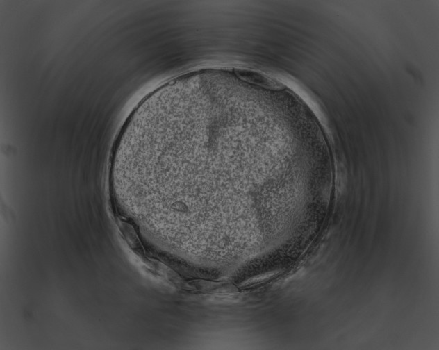 X0000090500861200708031208