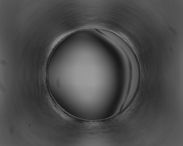 X0000090500862200708031208