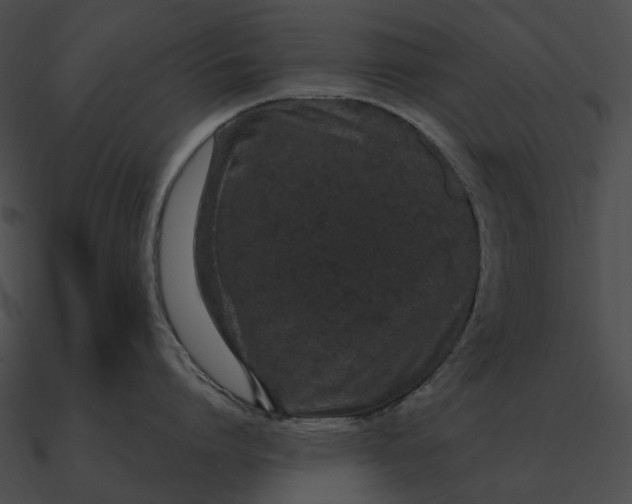 X0000090500864200708031208