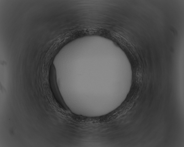 X0000090500865200708031207