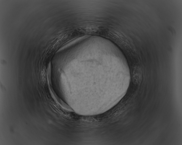 X0000090500866200708031207