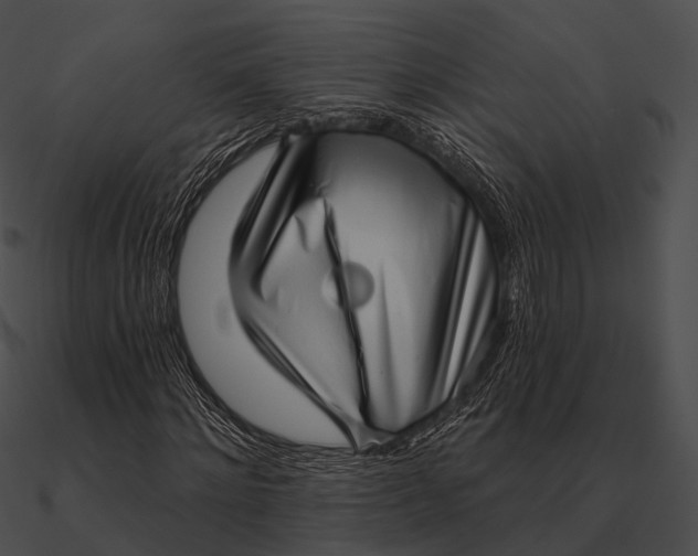 X0000090500868200708031207