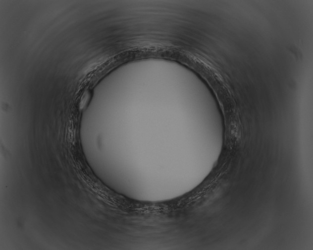 X0000090500869200708031207