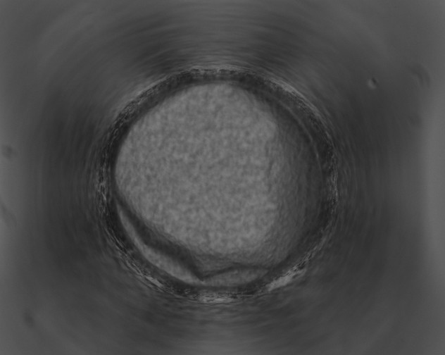 X0000090500870200708031207