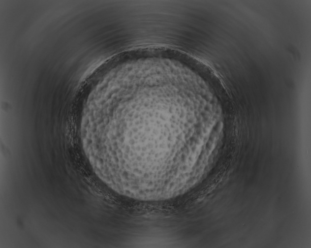 X0000090500871200708031207