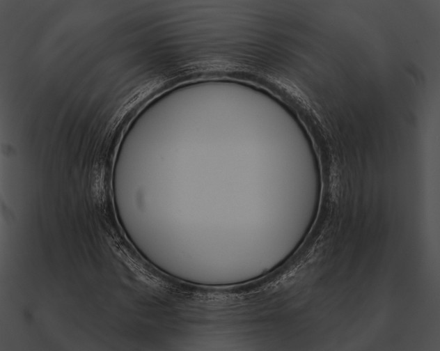 X0000090500873200708031207