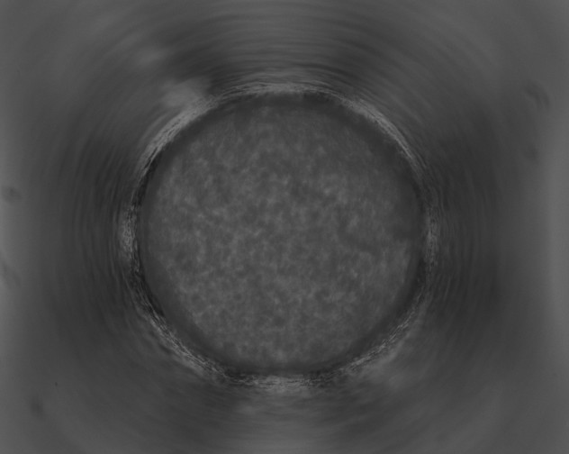 X0000090500874200708031207