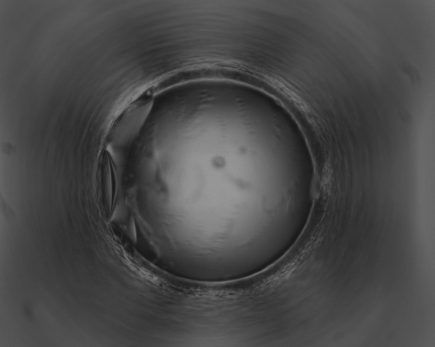 X0000090500877200708031207