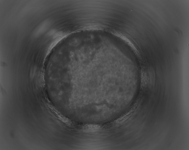 X0000090500878200708031207