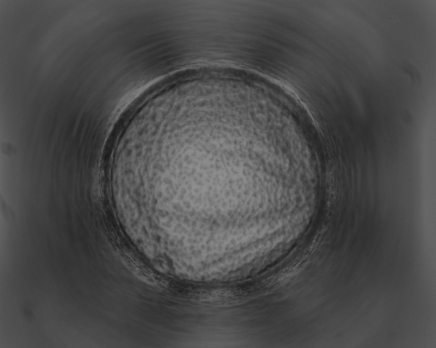 X0000090500879200708031207