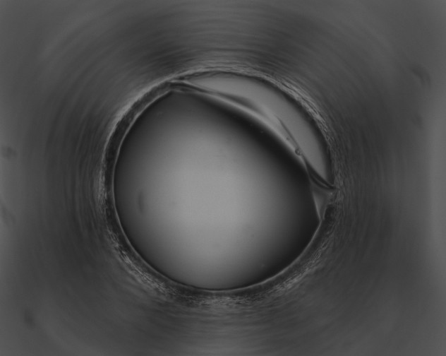 X0000090500880200708031207