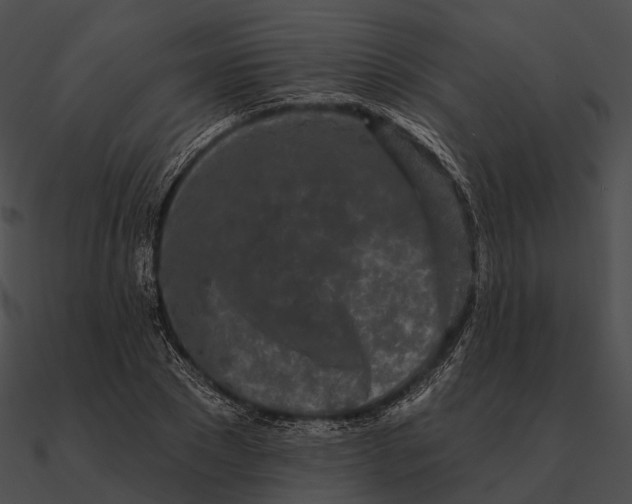 X0000090500881200708031207