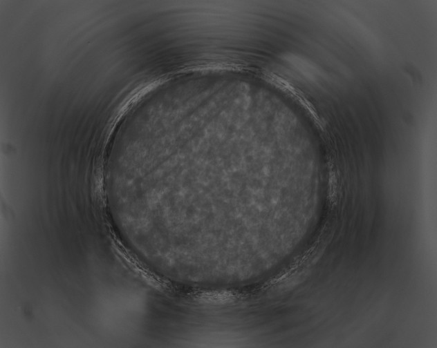 X0000090500882200708031207