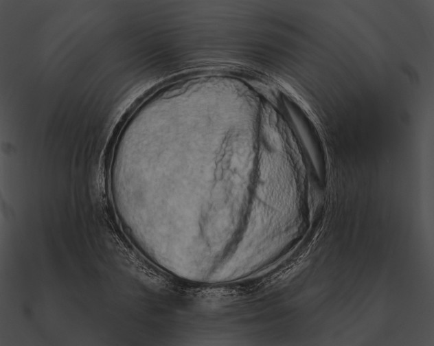 X0000090500883200708031207