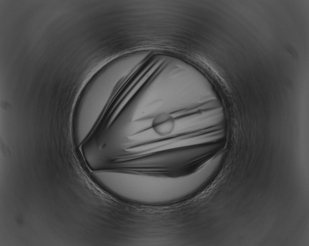 X0000090500884200708031207