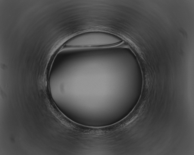 X0000090500885200708031207