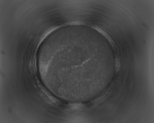 X0000090500886200708031207