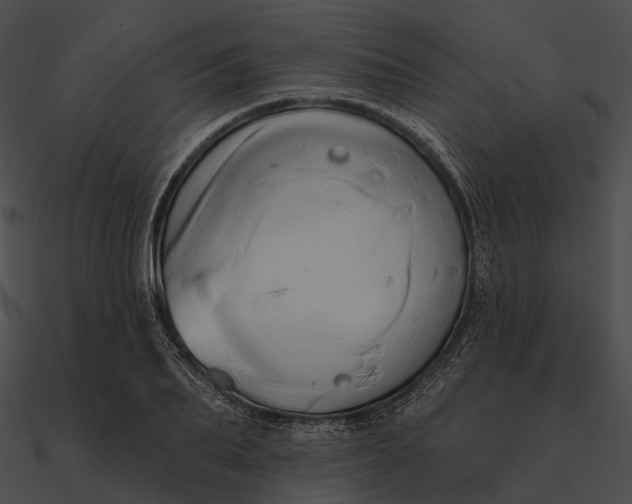 X0000090500887200708031207