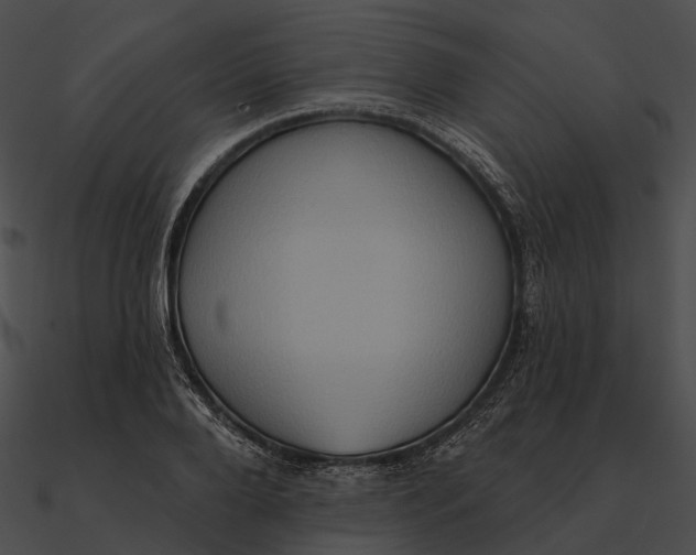 X0000090500888200708031207