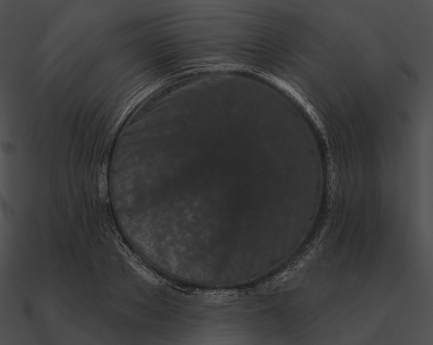 X0000090500889200708031207